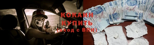 гидропоника Белокуриха