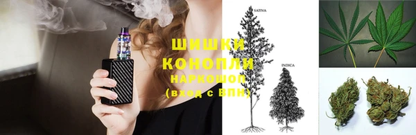 гидропоника Белокуриха